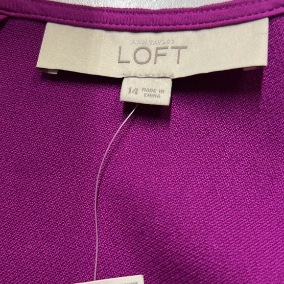 Loft Fuchsia Drop Waist Shift Dress - Picture 6 of 8